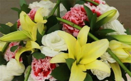 2020年出生的孩子命运解析与发展趋势