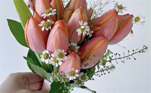 1958年出生的是什么命_1958年出生的是什么命?