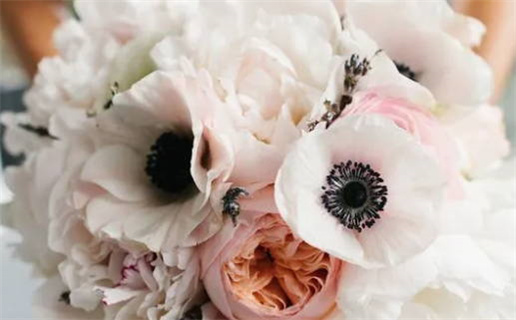 金命人适合佩戴什么_金命人适合佩戴什么吊坠