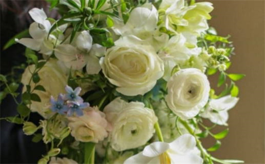 2013属蛇是什么命_2013属蛇是什么命金木水火土