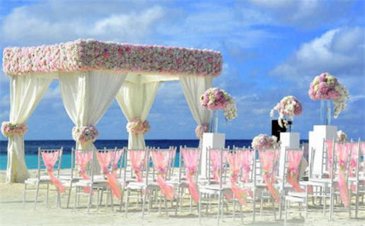 19年的猪是什么命(19年的猪是什么命 五行属什么)