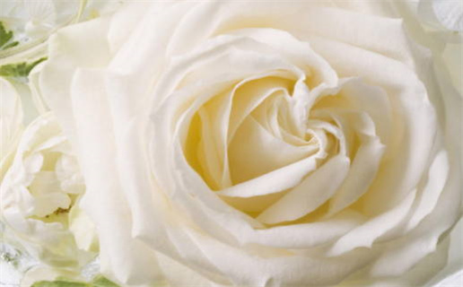 水命配什么水命最佳最佳组合解析