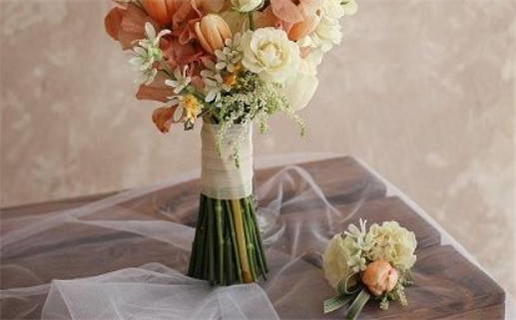 饿木命适合什么颜色(饿木命适合什么颜色李居明)