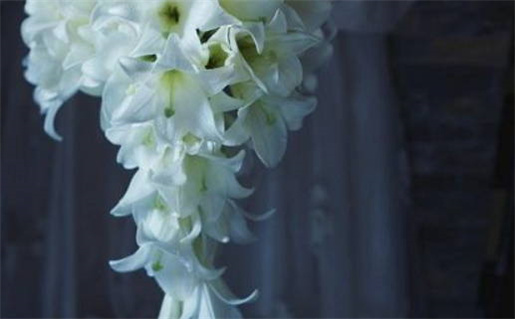 农历十月初二是什么命(农历十月初二是什么命格)