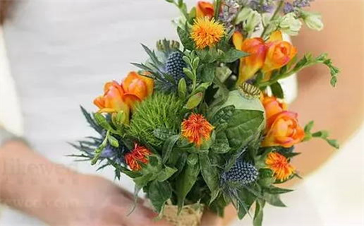 5月生子黄道吉日查询(5月生子黄道吉日查询表)