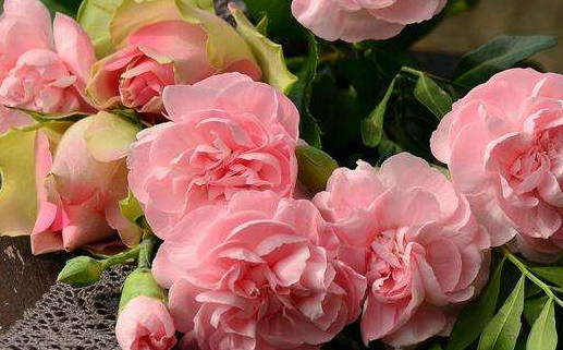 万年历查询黄道吉日吉时(万年历查询黄道吉日2021)