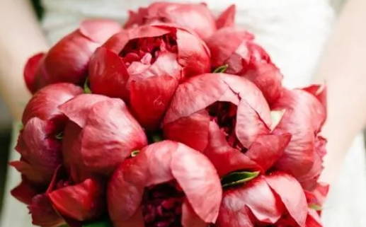 阴历九月十二是什么命