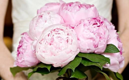 七四年的虎是什么命_一九七四年的虎是什么命