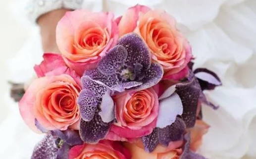 2017年命里缺什么(2017年什么命缺什么)