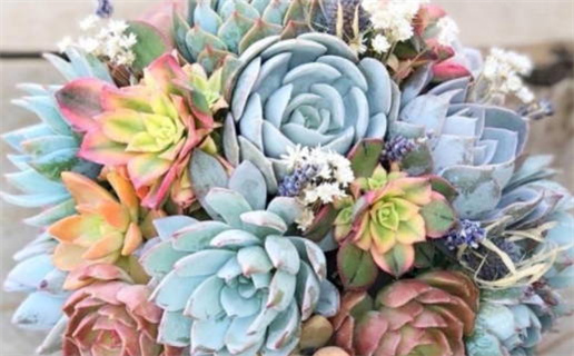 1978年出生人的命运解析和人生指南