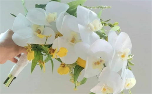 amor安于命什么意思