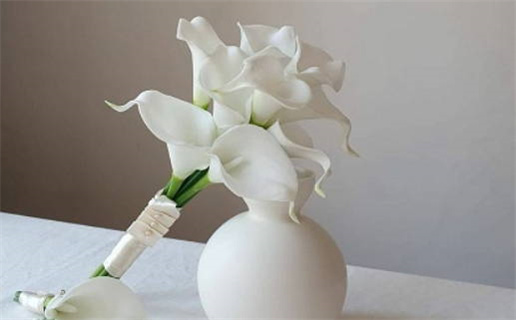 2007年出生命理解析与运势分析