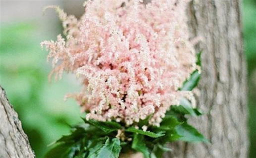 1946年五行属什么命