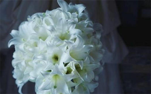 万年历查询黄道吉日搬家(万年历查询黄道吉日搬家吉日)