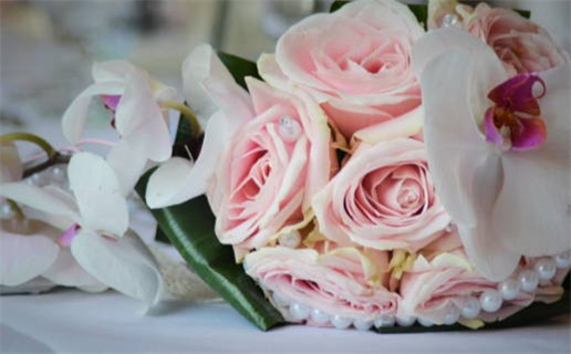 2007年是什么命(2007年是什么命五行属什么命)