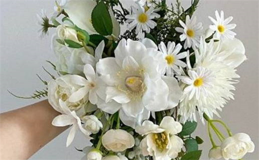 怎么看黄道吉日查询_黄道吉日顺口溜