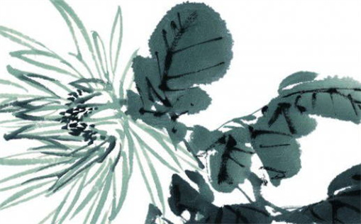 解密皇后命的命格特征与运势解析