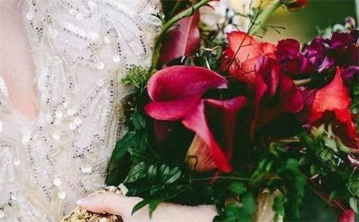 1981年属于什么命(1981年属于什么命格)