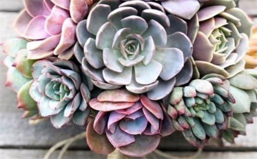 2026年4月5日黄道吉日查询指南与吉祥活动建议