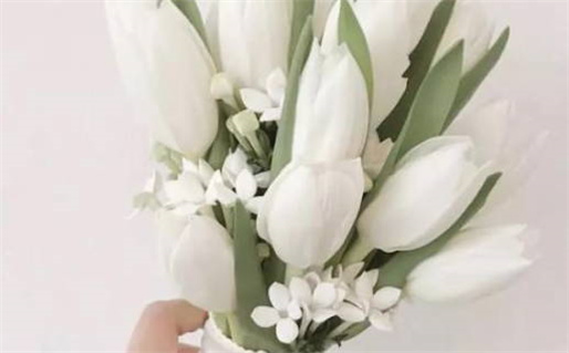 1978年属马的人命运解析及性格特点