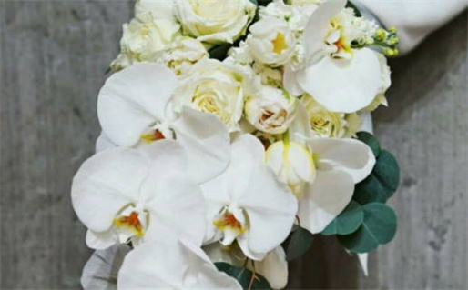 85年3月出生是什么命_85年3月出生是什么命运