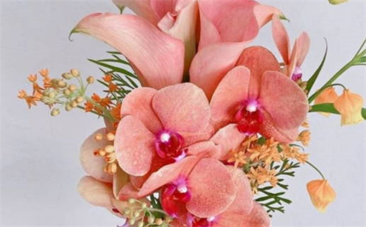 胳膊上有胎记的命运解析与运势影响