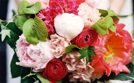 饿火命适合什么颜色_饿火命适合什么颜色李居明