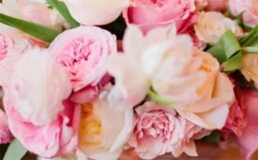 1971年属什么命(1971年属什么命 五行属什么)