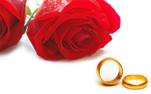 22岁属猪命理解析与人生运势指南