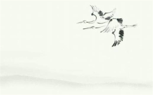 属马土命五行缺什么(属马土命五行缺什么属性)