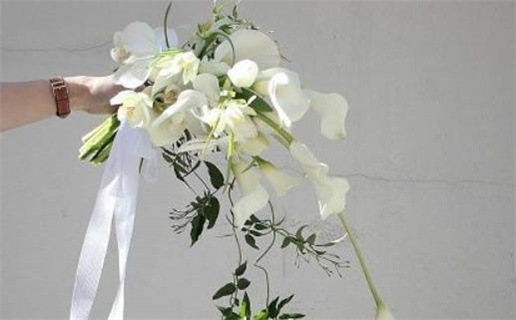 1982五行属什么命_82年属狗大海水命缺什么