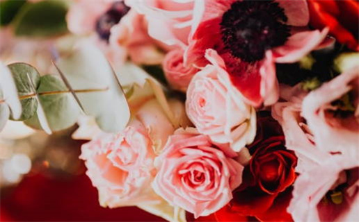 42岁属什么是什么命_42岁是属啥的