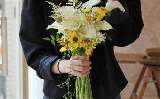 2018年狗是什么命_2018年狗是什么命 五行属什么