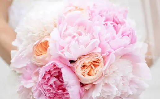 农历二〇二七年冬月初九黄历嫁娶不适宜吗,这天结婚合适吗