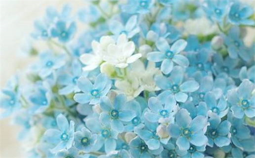 今日农历二〇三一年冬月初六黄历迎亲不适宜吗,结婚吉日