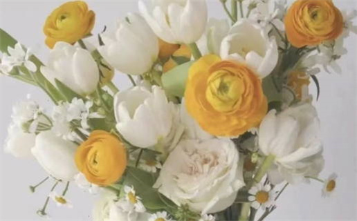 2027年3月14日领证指南：今日宜忌与适宜事项全解析