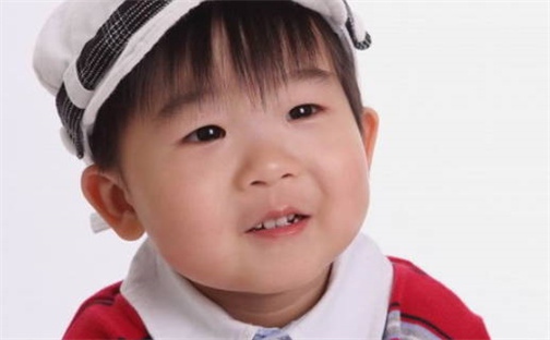 杨姓女孩子取名