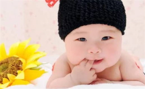 朱姓男孩子取名