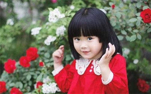 中华姓氏｜何姓女生精致典雅取名攻略（五行解析版）