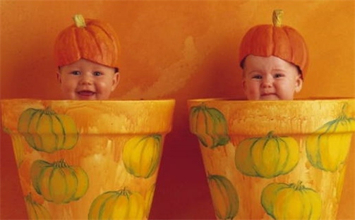 刘姓女孩子取名