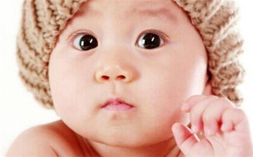 杨姓女孩子取名