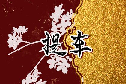 农历二〇三〇年六月初七黄历提取座驾不适宜吗,这天提车合适吗
