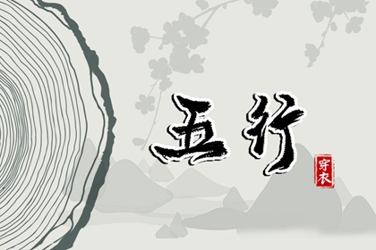 2028/05/30 五行穿衣宝典